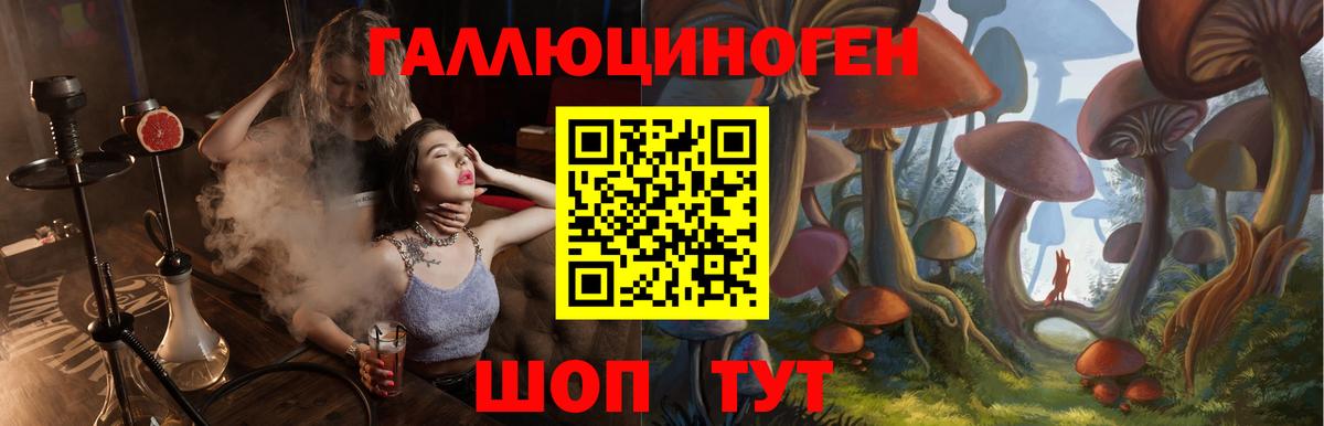 Галлюциногенные грибы мицелий  Галлюциногенные грибы ЛСД  Канаш  Вход с VPN 